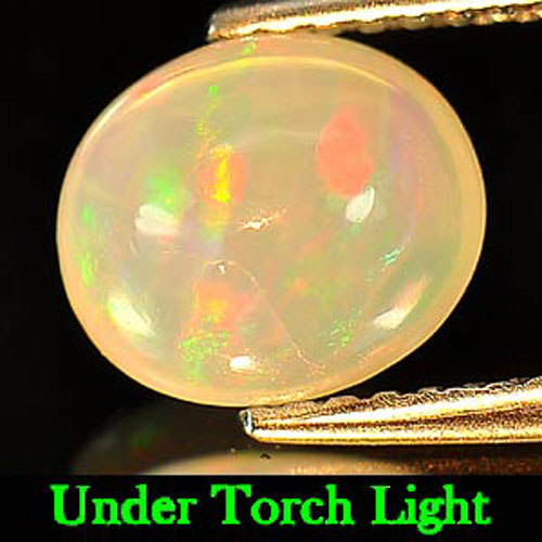 1.40 Ct. Oval Cabochon Natural Multi - Color Play Of Colour Opal Unheated
