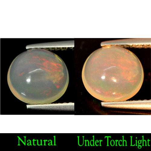 Unheated 2.06 Ct. Natural Multi - Color Play Of Colour Opal Oval Cabochon