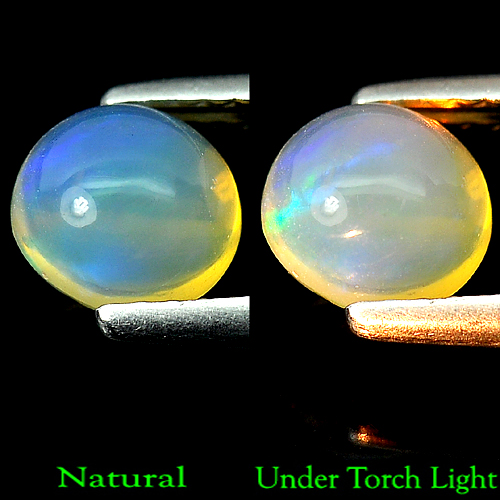 0.86 Ct. Round Cabochon Natural Multi-Color Play Of Colour Opal Unheated