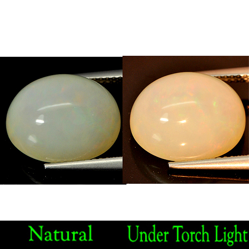 8.03 Ct. Oval Cabochon Natural Multi-Color Play Of Colour Opal