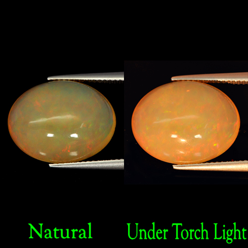 Natural 7.99 Ct. Multi-Color Play Of Colour Opal Oval Cabochon Unheated