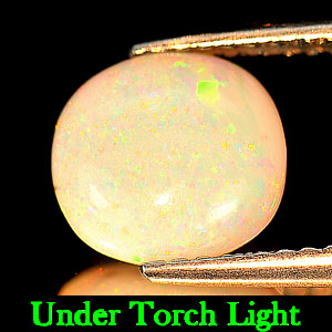 Unheated 1.05 Ct. Oval Cabochon Natural Multi - Color Play Of Colour Opal