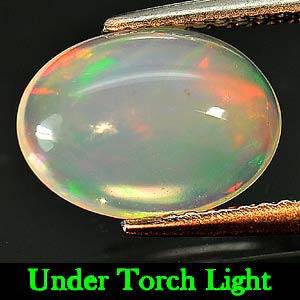 1.44 Ct. Charming Natural Gem Multi-Color Play Of Colour Opal Oval Cabochon