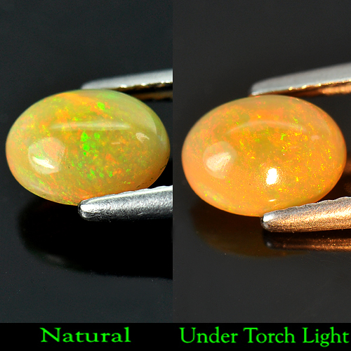 0.81 Ct. Oval Cabochon Natural Multi - Color Play Of Colour Opal Unheated