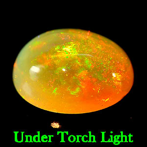 Unheated 1.50 Ct. Oval Cabochon Natural Multi - Color Play Of Colour Opal