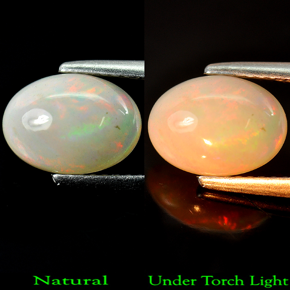 Unheated 1.62 Ct. Natural Gem Oval Cabochon Multi - Color Play Of Colour Opal