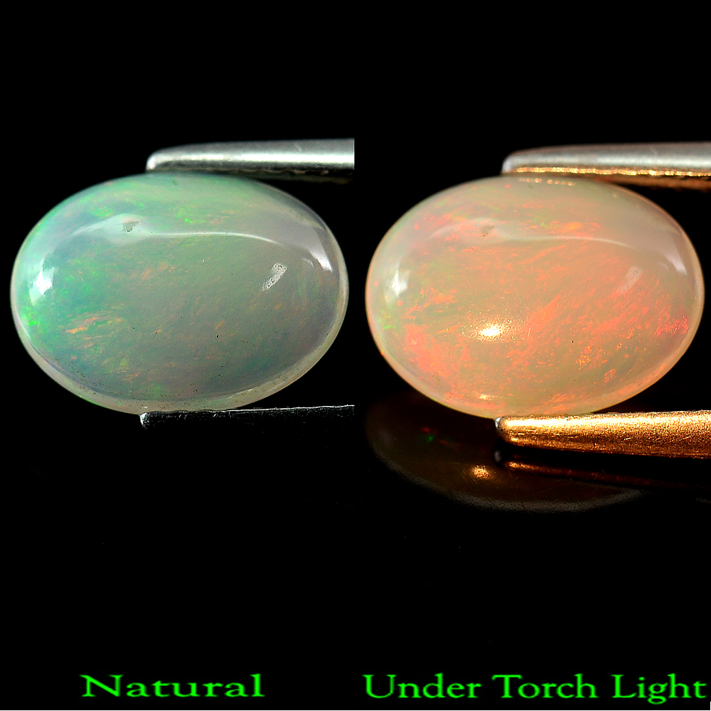 Natural 1.60 Ct. Oval Cabochon Multi - Color Play Of Colour Opal Gem Ethiopia