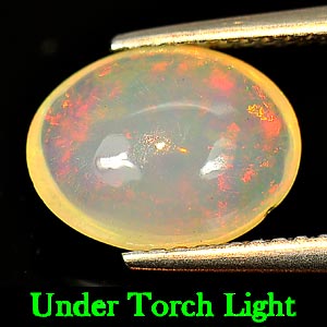 Natural 1.56 Ct. Oval Cabochon Multi - Color Play Of Colour Opal Unheated
