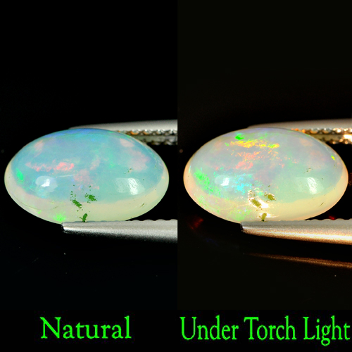 Natural Gem 1.65 Ct. Oval Cabochon Multi - Color Play Of Colour Opal