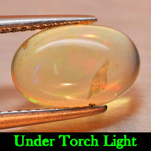 Unheated 1.54 Ct. Natural Gem Oval Cabochon Multi-Color Play Of Colour Opal