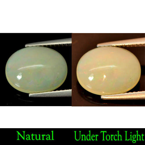 Charming Gem 2.87 Ct. Natural Oval Cabochon Multi-Color Play Of Colour Opal
