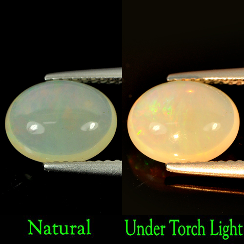 Natural Gemstone 1.71 Ct. Oval Cabochon Multi-Color Play Of Colour Opal