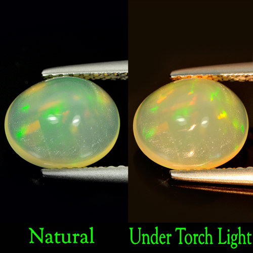 1.73 Ct. Oval Cabochon Natural Gem Multi-Color Play Of Colour Opal Unheated