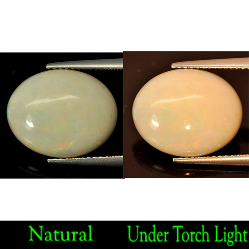 3.84 Ct. Natural Multi-Color Play Of Colour Opal Gem Oval Cabochon Unheated
