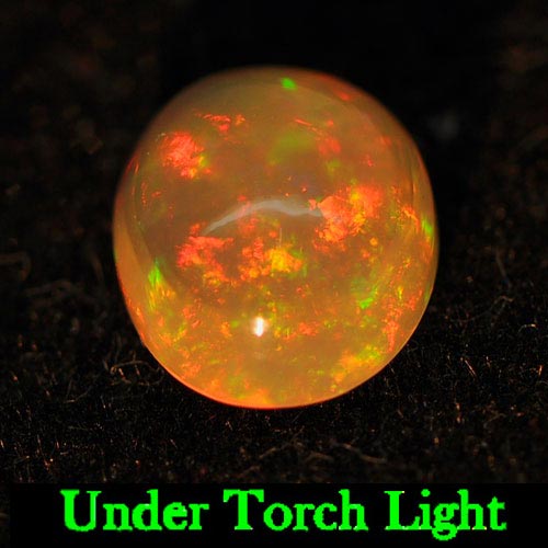 Natural Gem 1.41 Ct. Multi-Color Play Of Colour Opal Oval Cabochon