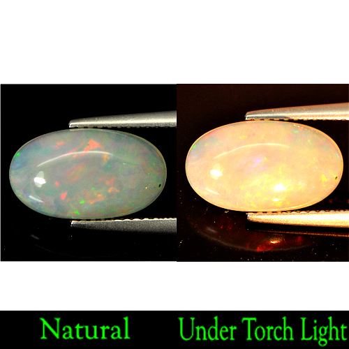 2.81 Ct. Oval Cabochon Natural Gem Multi Color Play Of Colour Opal