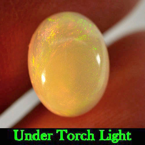 Nice Gemstone 1.28 Ct. Oval Cabochon Natural Multi Color Play Of Colour Opal