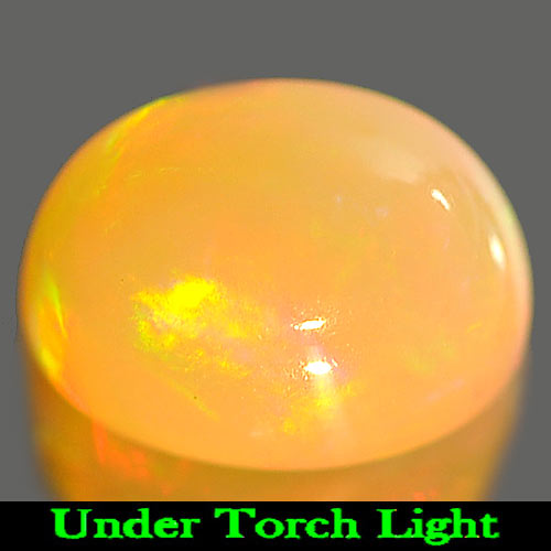 1.33 Ct. Alluring Natural Gem Multi Color Play Of Colour Opal Oval Cabochon