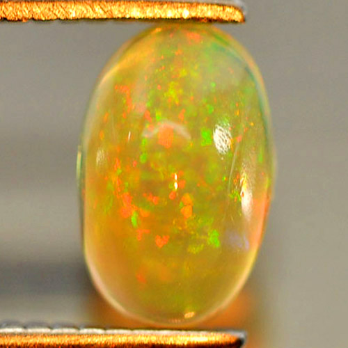 Delightful Gem 0.47 Ct. Oval Cabochon Natural Play Of Colour Multi Color Opal
