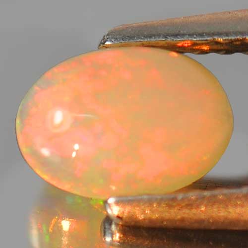 Natural Gemstone 0.60 Ct. Oval Cabochon Multi Color Play Of Colour Opal