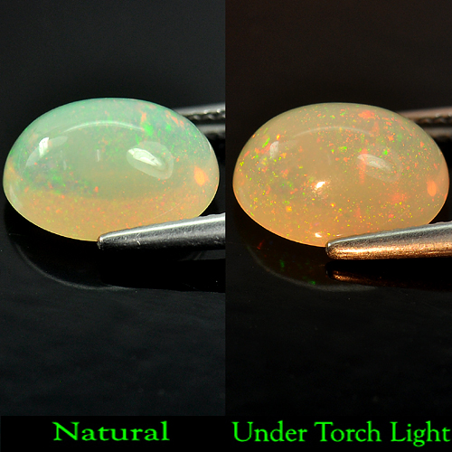 3.30 Ct. Oval Cabochon Shape Natural Gamstone Multi Color Opal Unheated