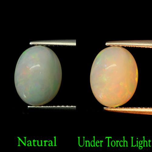 2.71 Ct. Oval Cabochon Shape Natural Gamstone Multi Color Opal Unheated