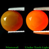 1.37 ct. Elegant Clean Natural FIRE OPAL Unheated