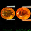 1.76 Ct. Excellent Natural FIRE OPAL Unheated Mexico