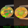 Multi Color Opal 0.94 Ct. Oval Shape 8 x 6.8 x 4.4 Mm. Natural Gem Unheated