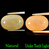 Rare 3.84Ct. Oval Natural Multi Color Opal Sudan Gem NR