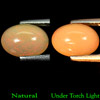 1.63Ct Oval Cab Natural Multi Color Opal Sudan Unheated