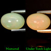 Unheated 1.52 Ct. Oval Cab Natural Multi Color Opal Gem