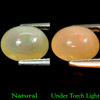 1.89 Ct. Oval Cabochon Natural Multi Color Opal Unheated