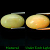 7.32 Ct. Oval Cabochon Natural Multi Color Opal Unheated