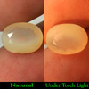 Unheated 2.27 Ct.Oval Natural Multi Color Play Of Colour Opal