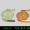 2.31 Ct. Oval Cabochon Natural Natural Multi-Color Play Of Colour Opal