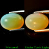 2.86 Ct. Oval Cabochon Natural Multi Color Opal
