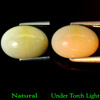 4.20 Ct. Oval Cab Natural Multi Color Opal Sudan Gem