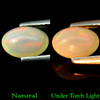 0.98 Ct. Natural Multi Color Opal Sudan Gem Unheated