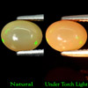 1.17 Ct. Oval Cabochon Natural Gem Multi Color Opal Unheated