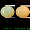 Unheated 3.53 Ct. Oval Natural Multi Color Opal Sudan