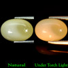 4.26 Ct. Oval Cabochon Natural Multi Color Opal Sudan