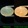 Natural Gem 6.46 Ct. Oval Cabochon Multi Color Opal