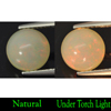 2.17 Ct. Round Cab 8.6 Mm. Natural Gem Multi Color Opal