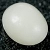 0.56 Ct. Oval Cab Natural Gem White Color Opal Sudan