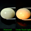 12.65 Ct. Oval Cab Natural Gem White Color Opal Unheated