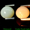 1.48 Ct. Round Cab Natural Gem Multi Color Opal Sudan