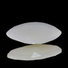 1.05 Ct. Marquise Natural Gem White Color Opal Sudan