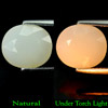 3.28 Ct. Oval Natural White Color Opal Sudan Unheated