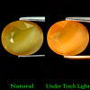 Unheated 3.96 Ct. Natural Multi Color Opal Sudan Gem